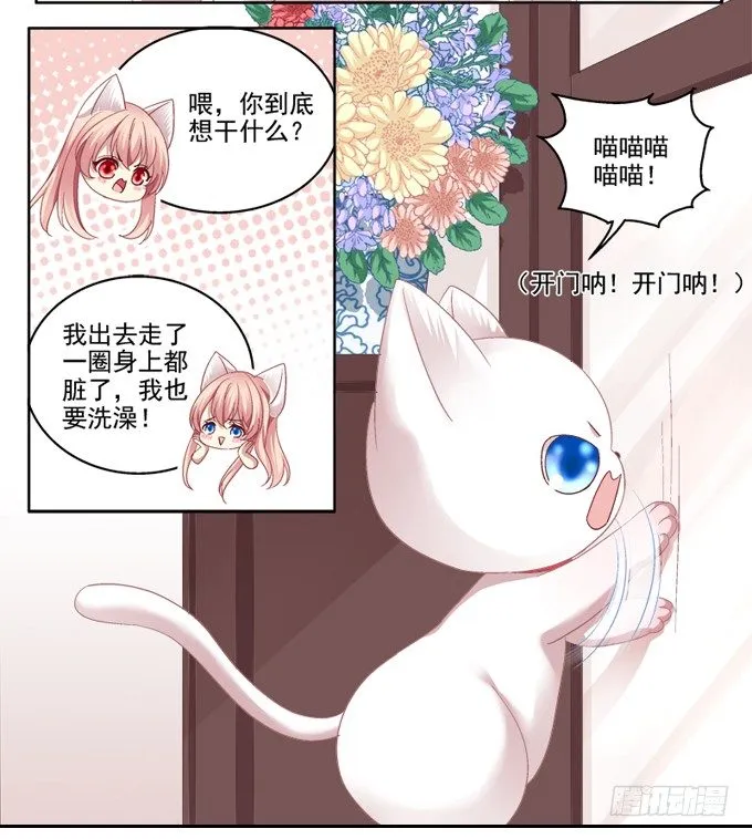 你是我的猫 第16页