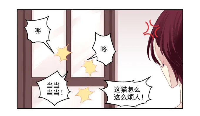 你是我的猫 第17页