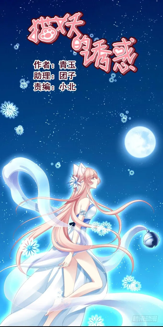 猫咪爱吃鱼 第1页