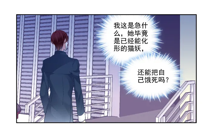 猫咪爱吃鱼 第12页