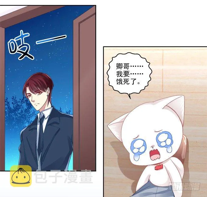 猫咪爱吃鱼 第13页