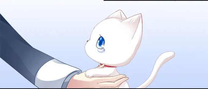 猫咪爱吃鱼 第14页