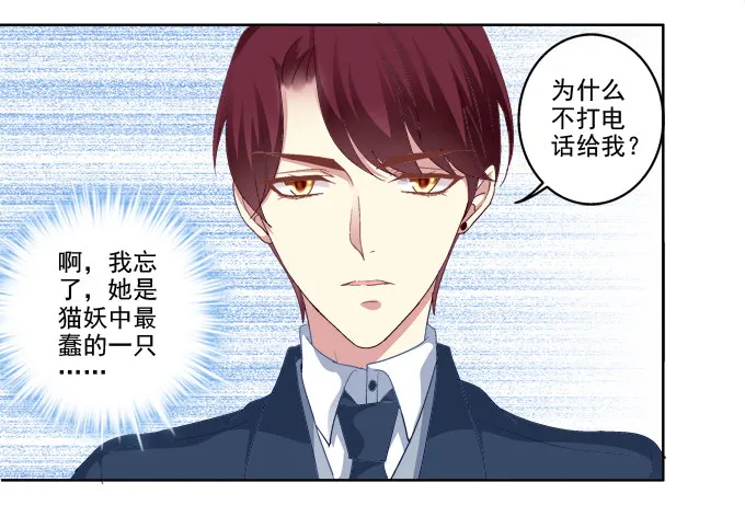 猫咪爱吃鱼 第16页