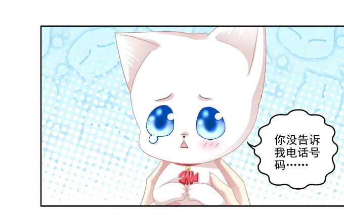猫咪爱吃鱼 第17页