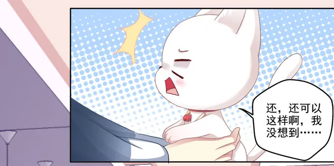 猫咪爱吃鱼 第19页