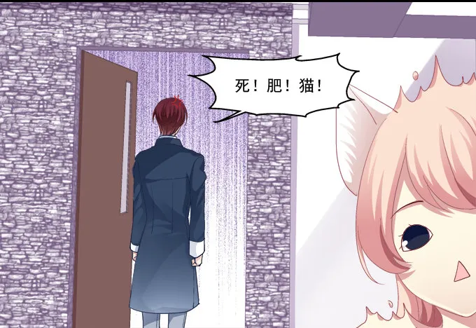 猫咪爱吃鱼 第23页