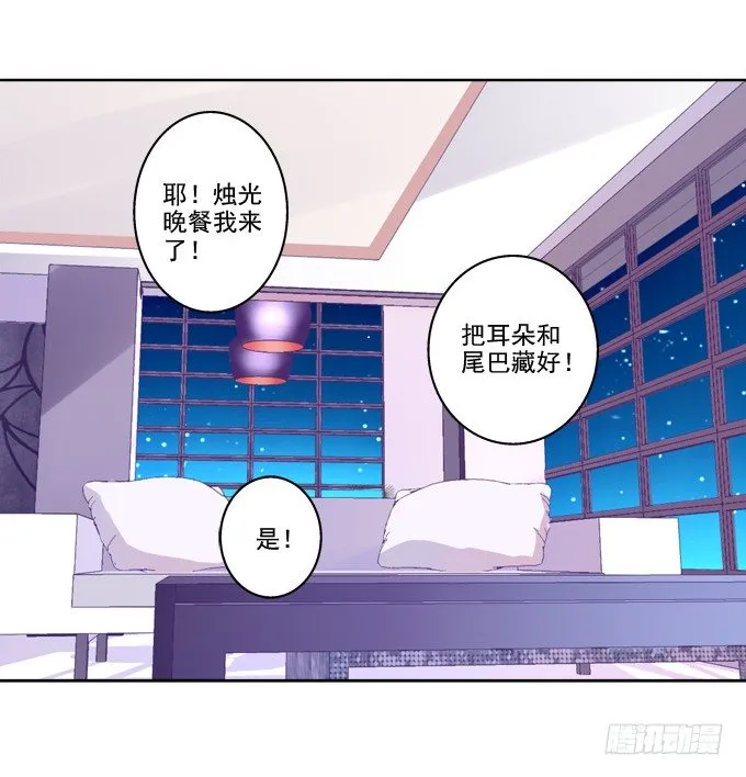 猫咪爱吃鱼 第30页