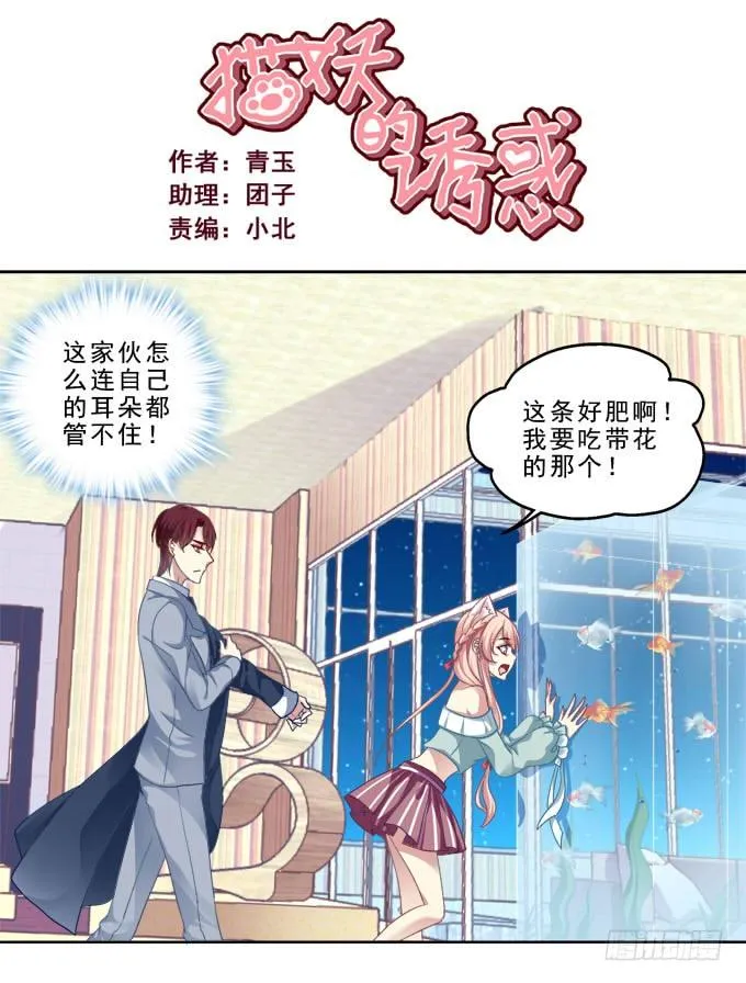 前世的记忆 第2页
