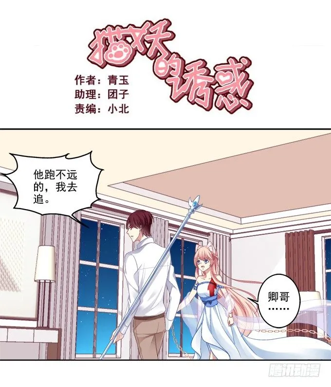 看爸妈生小毛球！ 第2页