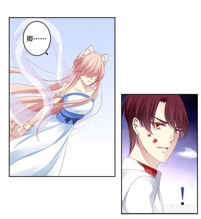 看爸妈生小毛球！ 第3页