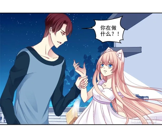 看爸妈生小毛球！ 第33页