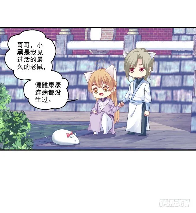 一见钟情 第24页