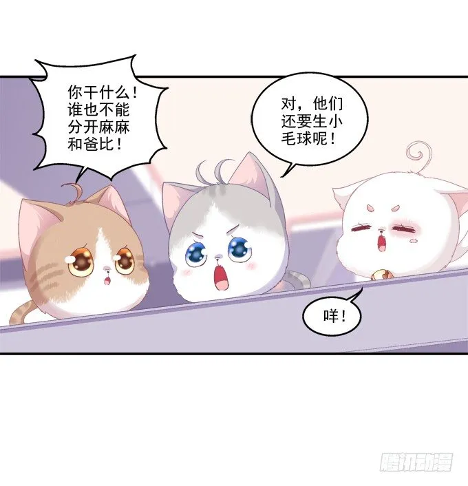 鸡飞猫跳 第34页
