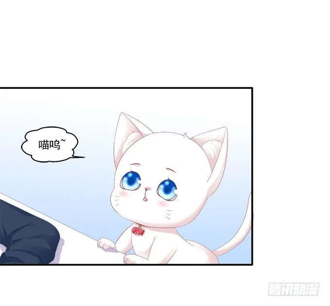 猫妖回魂 第4页