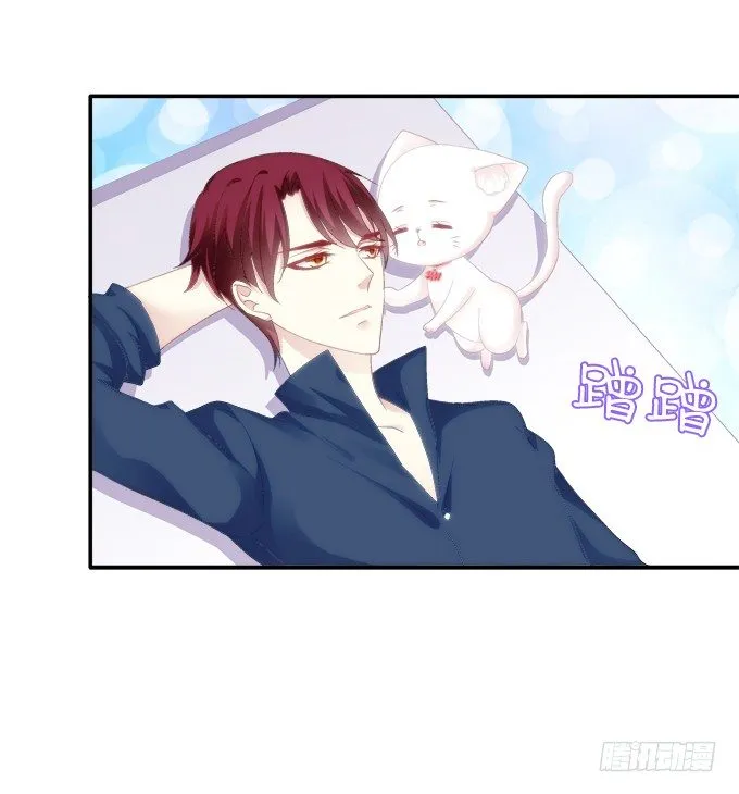猫妖回魂 第5页