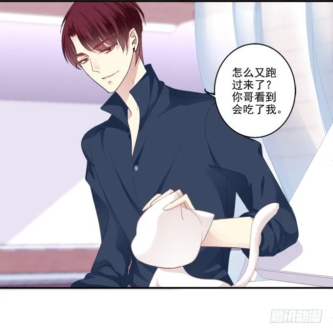 猫妖回魂 第6页