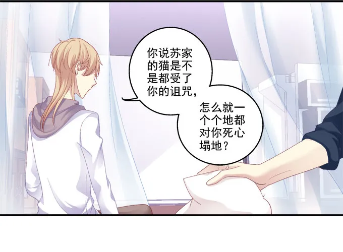 猫妖回魂 第8页