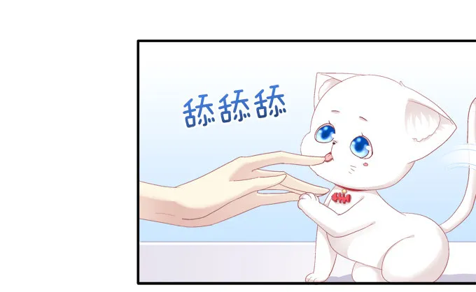 猫妖回魂 第10页