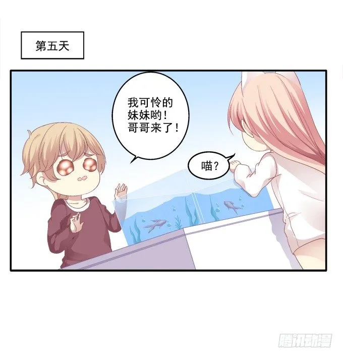 猫妖回魂 第26页
