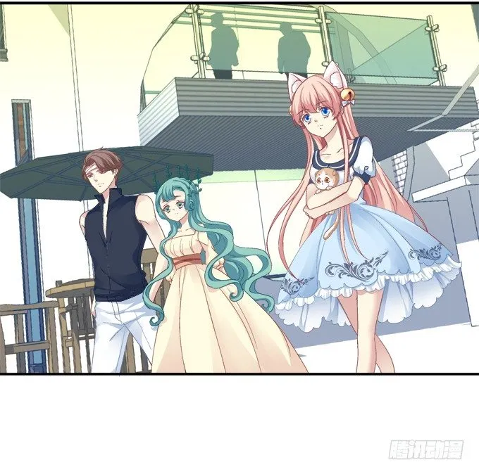 植物vs天师 第2页