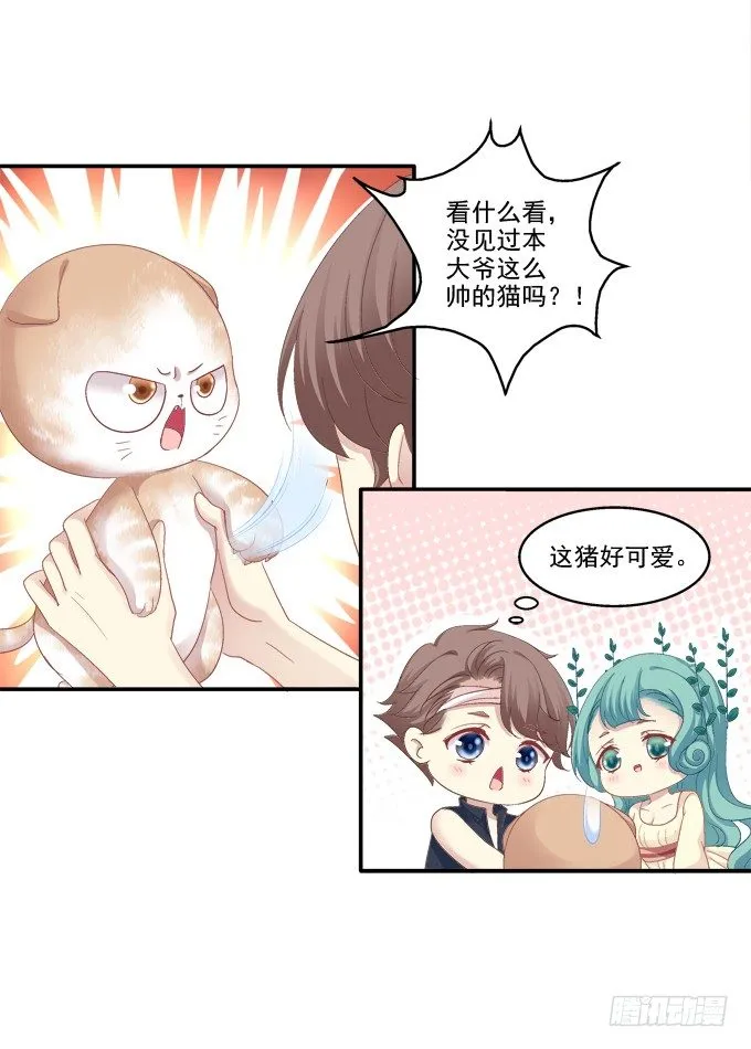 植物vs天师 第5页