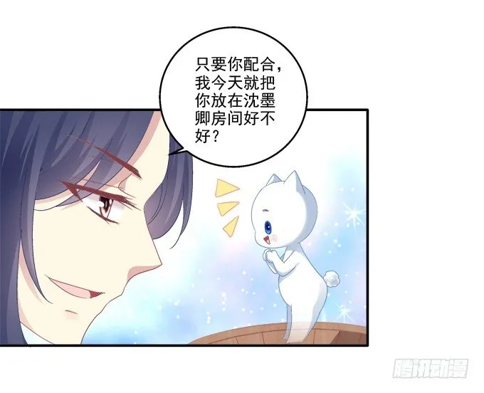 植物vs天师 第10页