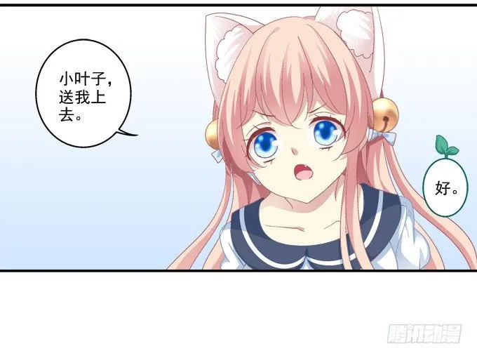 植物vs天师 第28页