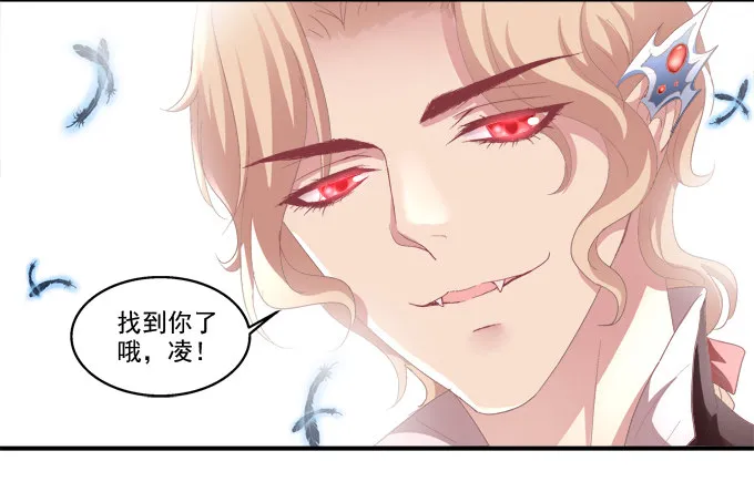 从天而降 第41页