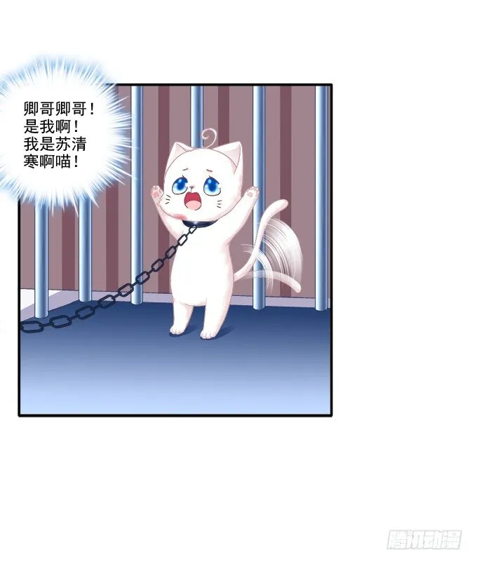 英雄救喵 第18页