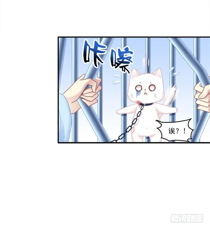 英雄救喵 第23页