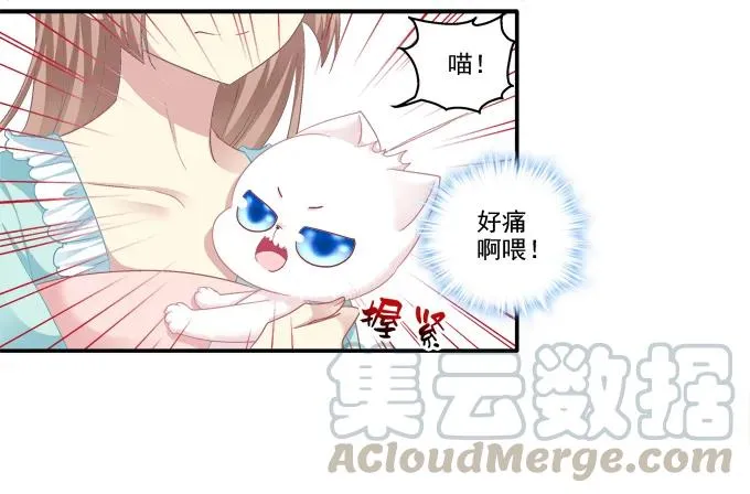 盛装出席 第9页