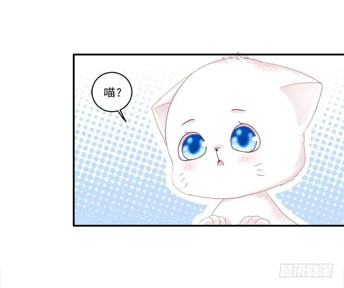 盛装出席 第36页