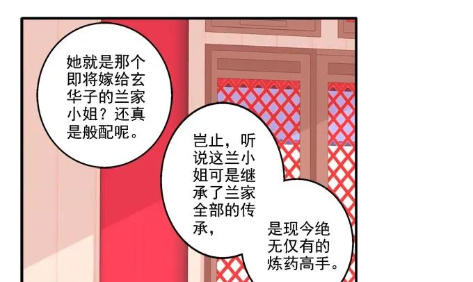 琼楼盛宴 第14页