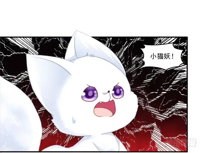 英狐救喵？ 第40页