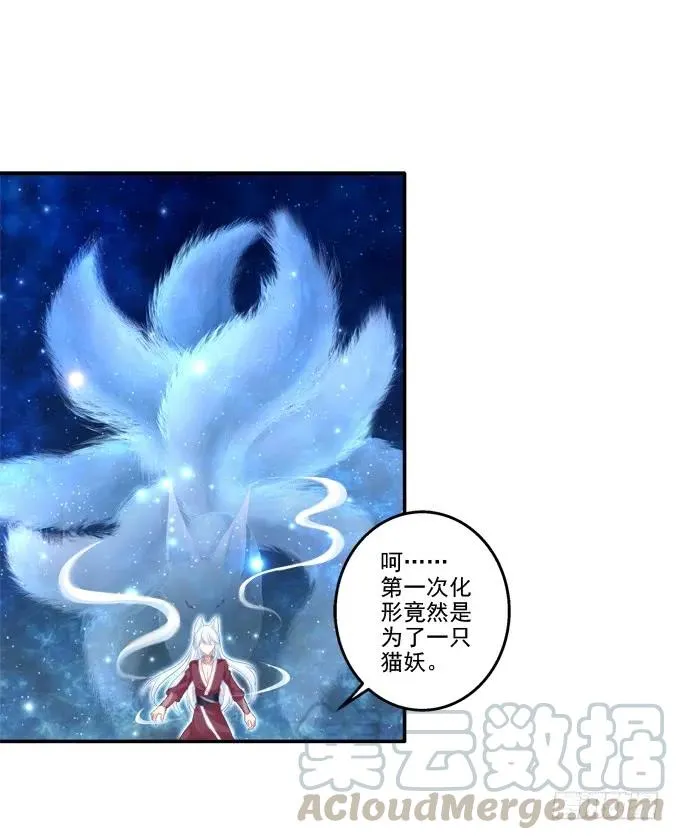 狐的守护 第13页