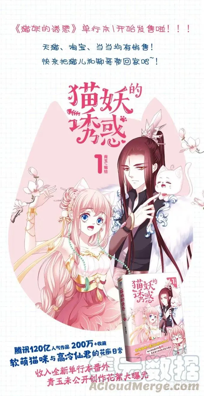 猫咪发飙 第5页