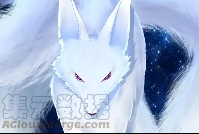 猫咪发飙 第17页