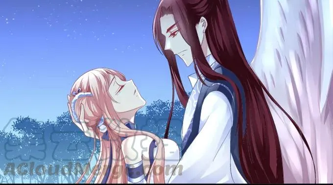 伤别离 第25页
