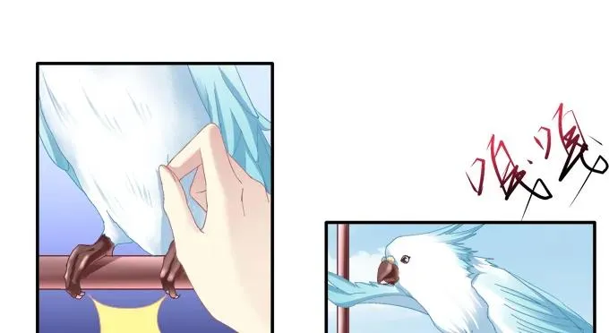 伤别离 第43页