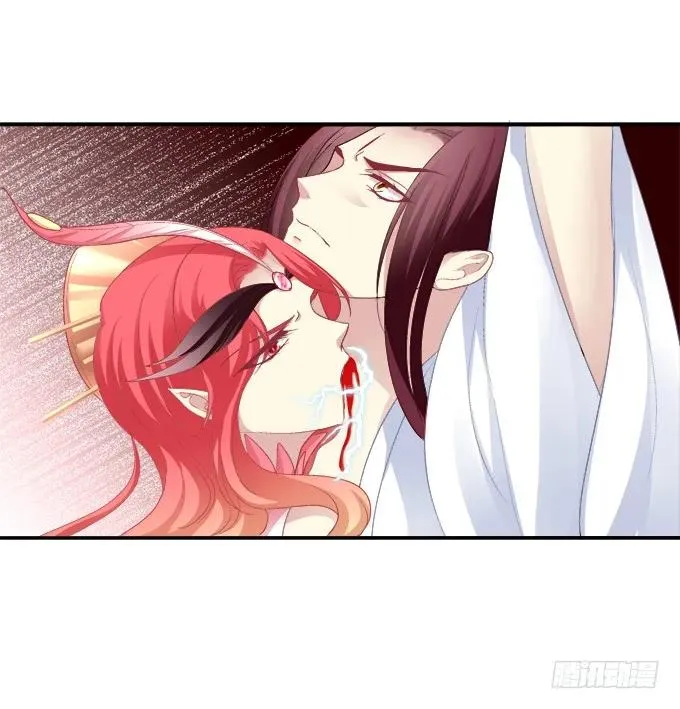 朱雀诱惑 第6页