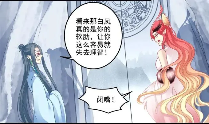 朱雀诱惑 第11页