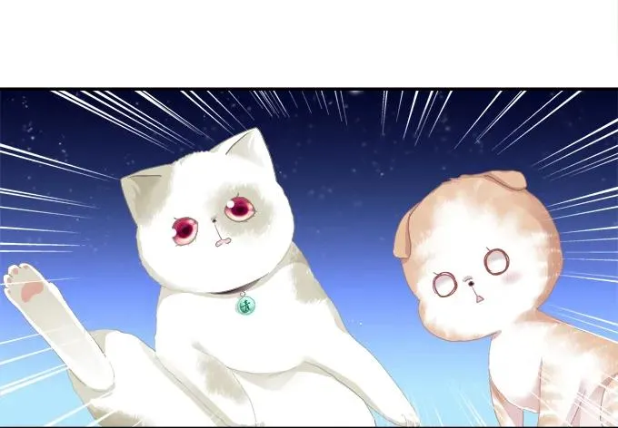 迷之救兵 第44页
