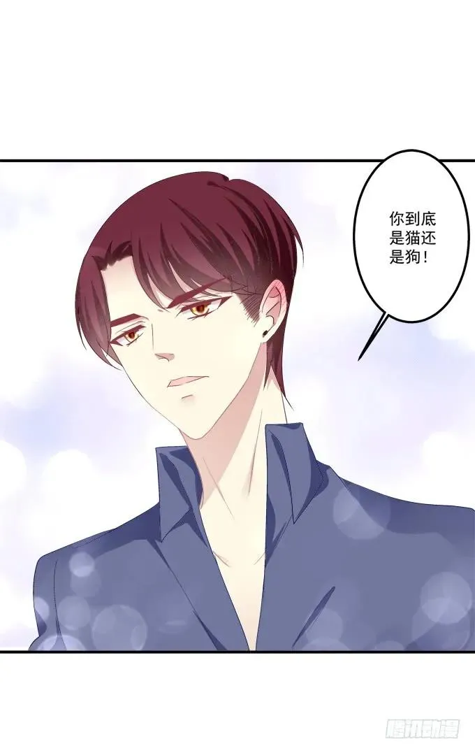 跟他走吗？ 第34页