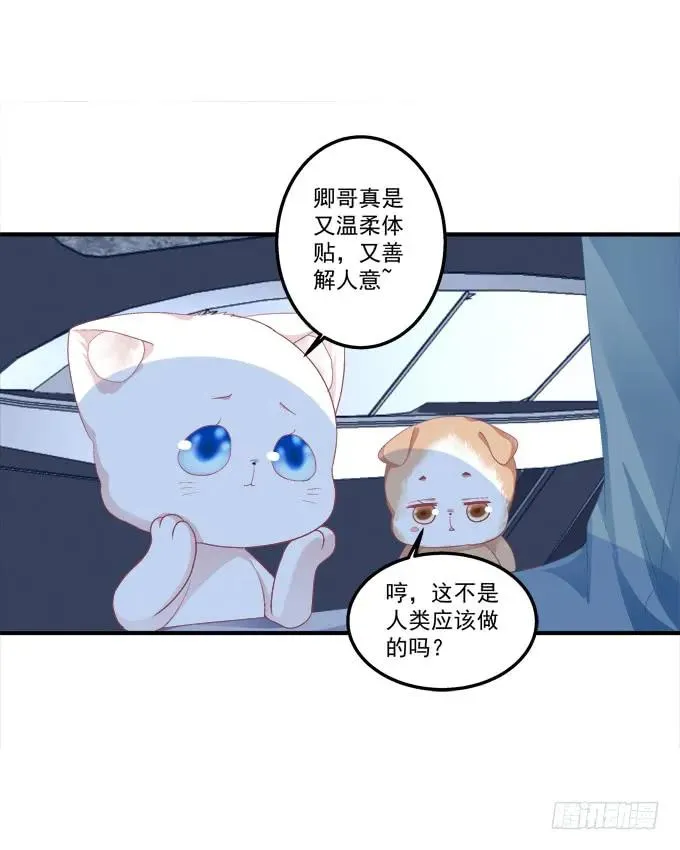 反复欺骗 第23页