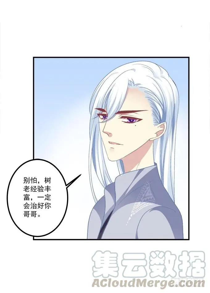 凤凰冢一 第5页