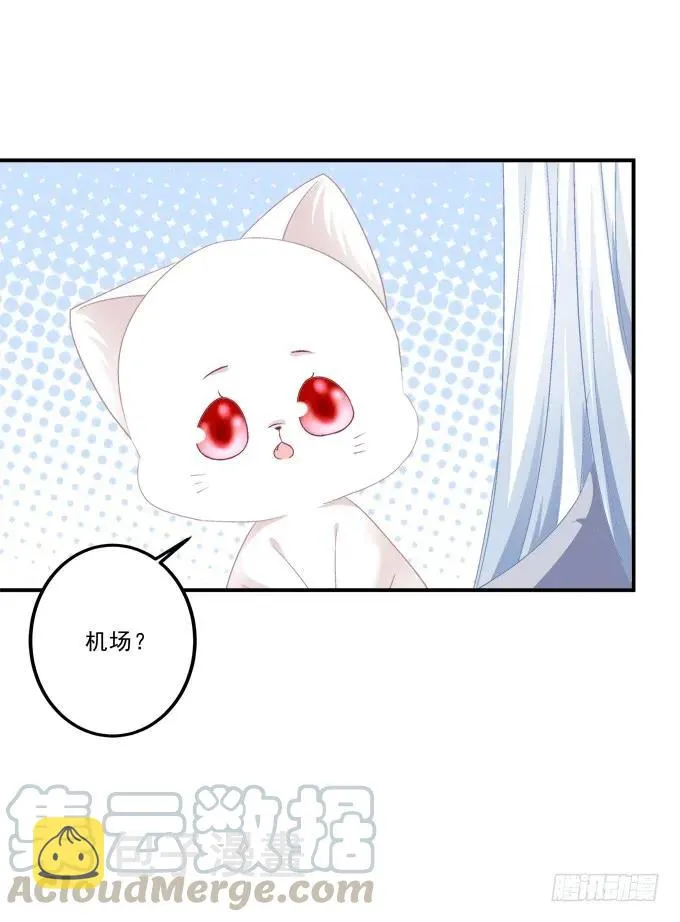 凤凰冢二 第13页