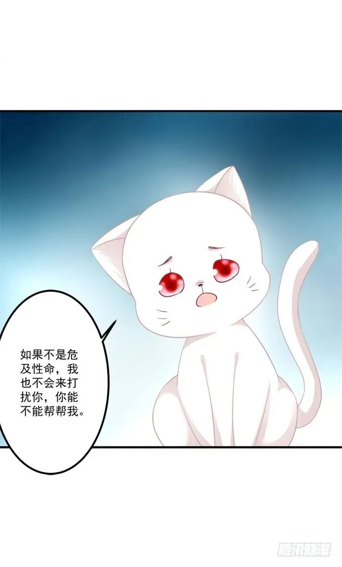 凤凰冢二 第34页