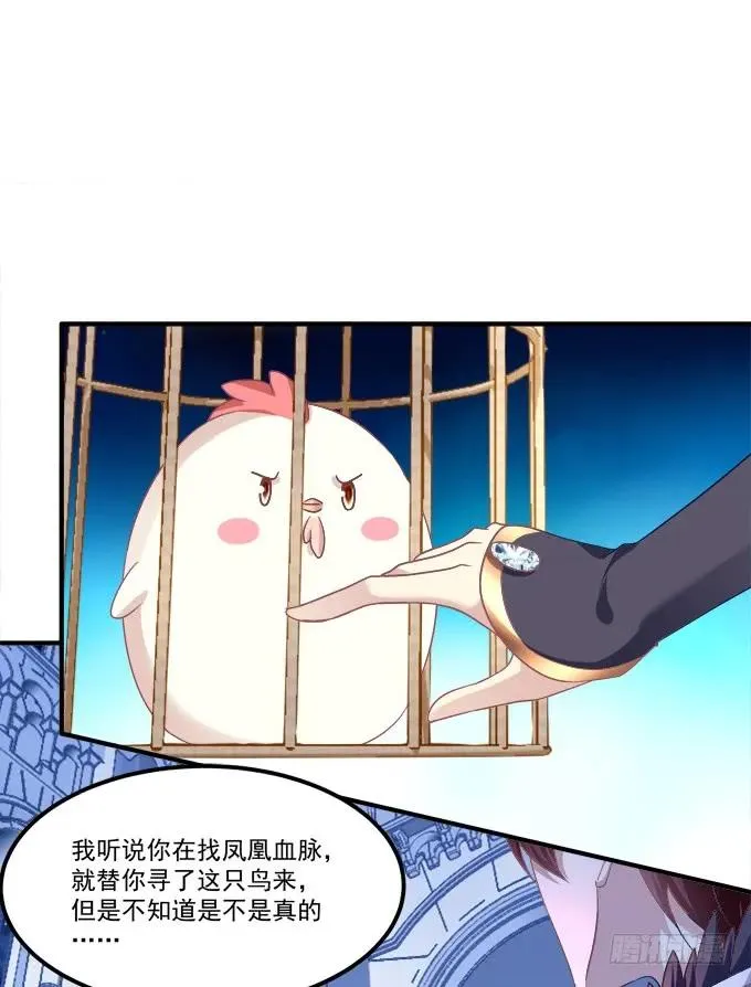 凤凰冢十一 第35页