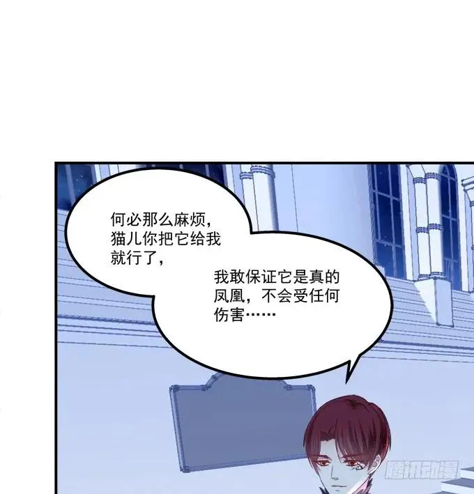 凤凰冢十一 第47页