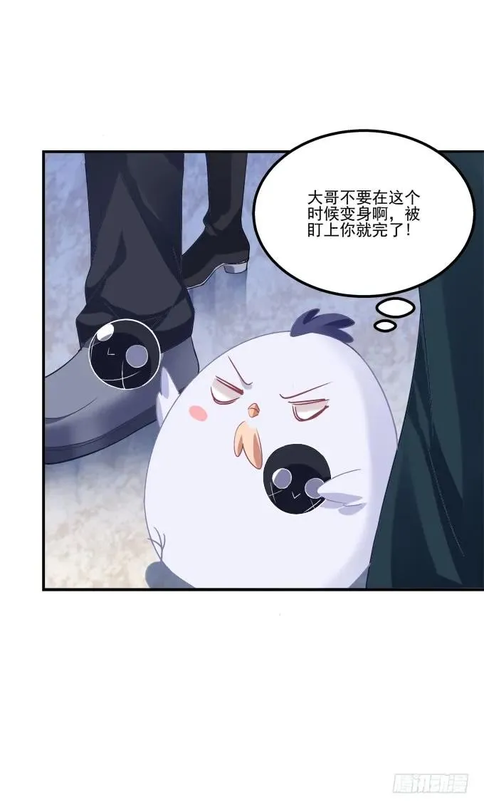凤凰冢十三 第8页